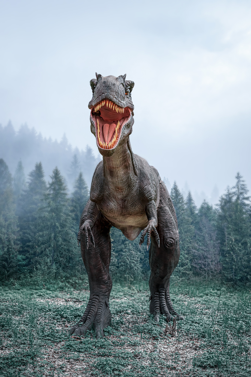 T-rex was as smart as the modern day primates, study claims